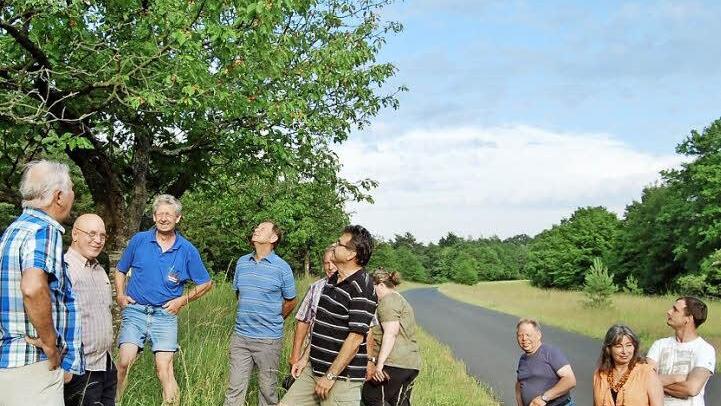 Vereinsvorsitzender Arnulf Hausdörfer (Mitte) versucht, die Auktionsteilnehmer für einen Kirschbaum zu interessieren. Fotos: Sigismund von Dobschütz