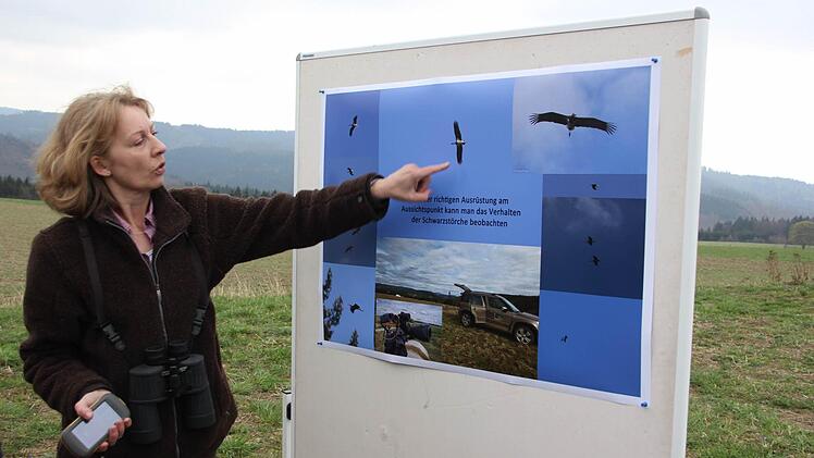 Cordula Kelle-Dingel zeigt auf das Plakat mit den Schwarzstorchfotos  Foto: Friedwald Schedel