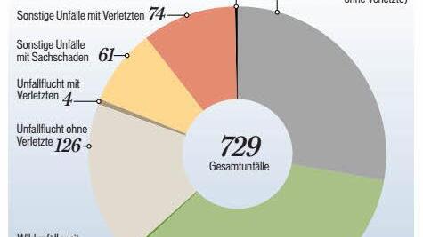 Unfallstatistik 2015 für den Bereich Hammelburg. Quelle: Polizei-Inspektion Hammelburg/ Grafik: Klaus Heim