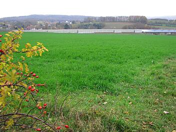Auf diesem Areal zwischen Untersiemau und Obersiemau soll neben der ICE-Strecke der "Solarpark Untersiemau" entstehen. Foto: Norbert Karbach