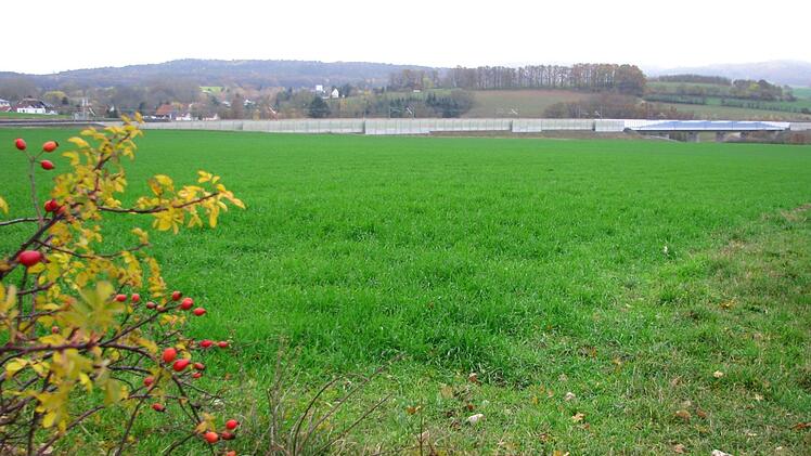 Auf diesem Areal zwischen Untersiemau und Obersiemau soll neben der ICE-Strecke der "Solarpark Untersiemau" entstehen. Foto: Norbert Karbach