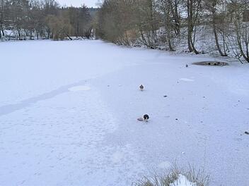 Derzeit sind die Eisflächen in Bamberg noch gesperrt