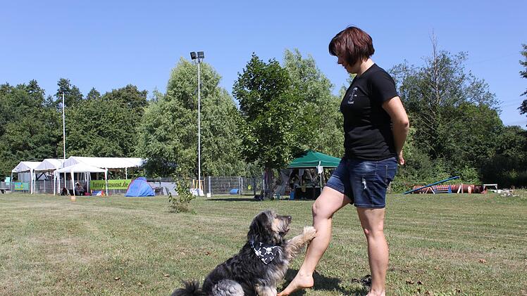 Stefanie Düring trat das erste Mal mit ihrem Hund "Jim" beim "Dogdancing"-Turnier in Eltmann an. Der fünfjährige Rüde war ein Straßenhund in Ungarn und kam vor zwei Jahren nach Eltmann. Foto: Christiane Reuther