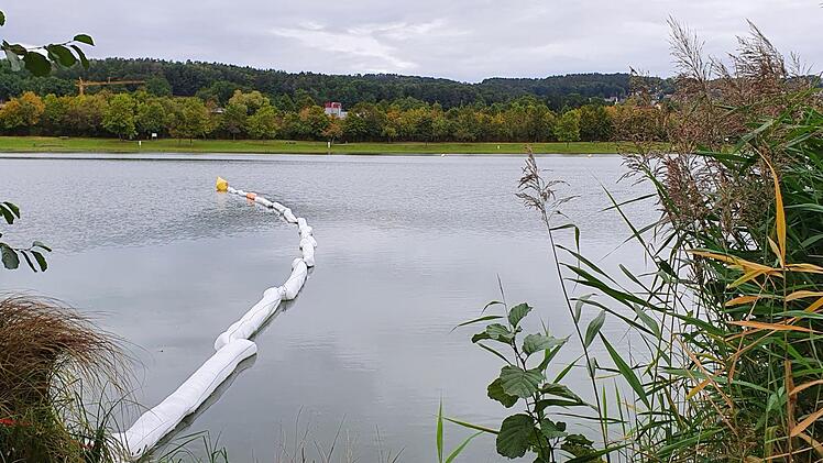Die Öl-Saugsperre bleibt vorsorglich bis Ende Oktober im Wasser und entlang des Schilfgürtels. Foto: Christine Fischer
