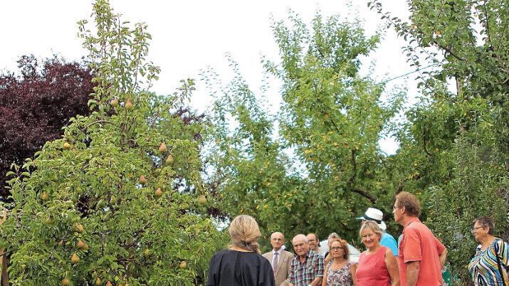 Auf der Streuobstwiese der Familie Köttig in Rottenstein  Fotos: Günther Geiling