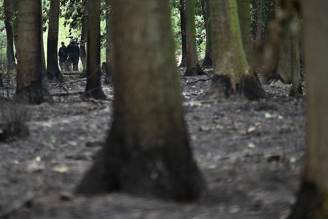 Waldbrand im H&uuml;rtgenwald