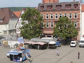 Um den Paradeplatz sollen zwei Reihen Schnurbäume gepflanzt werden, die Sichtachse von der Kommandantur zur Alten Wache soll dadurch noch betont werden. Foto: Josef Hofbauer/Archiv
