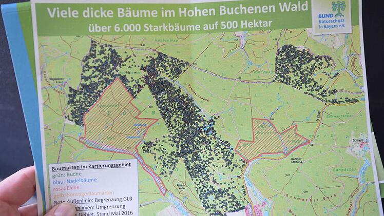 Die Kartierungsergebnisse zeigt, im Hohen Buchenen Wald gibt es eine Vielzahl von starken Bäumen.