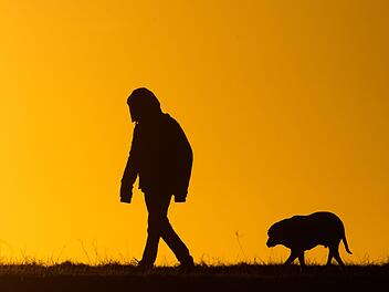 Frau in Lichtenfels von Hund gebissen