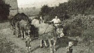 Alte Aufnahmen zeigen, wie es in den 1930 Jahren in der Landwirtschaft rund um Elfershausen zuging. Foto: Archiv Rainer Kuhn