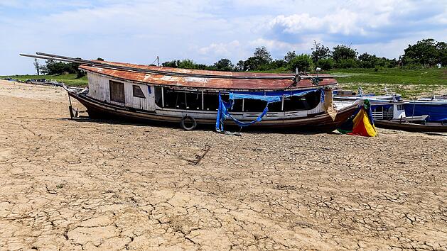 D&uuml;rre im Amazonas