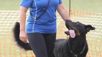 Bei der Unterordnung ist es unter anderem wichtig, dass der Hund dicht neben seinem "Frauchen" läuft. Sieglinde Rünagel und ihr "Anakin" erzielten bei der Disziplin im Vierkampf" 52 von 60 Punkten.