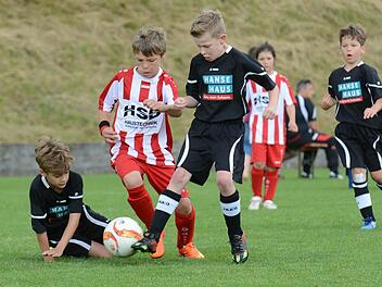 Stellvertretend für das hohe Engagement der Fußball-Jugend ist dieser Schnappschuss aus dem U-9-Spiel zwischen der SG Wartmannsroth/Gräfendorf und der DJK Schondra (dunkles Trikot). Foto: ssp