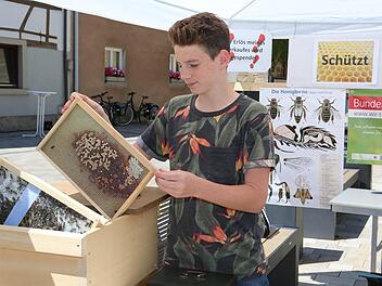 Leopold Katzenberger war bei Münnerstädter Stadtfest mit einem Infostand über Bienen vertreten. Dort hat er auch den selbst erzeugten Honig für einen guten Zweck verkauft. Thomas Malz