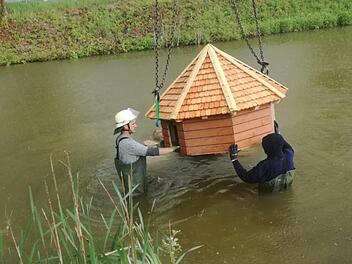 Die Enten haben ein neues Zuhause auf dem Dorfteich in Wittershausen. Udo Sell