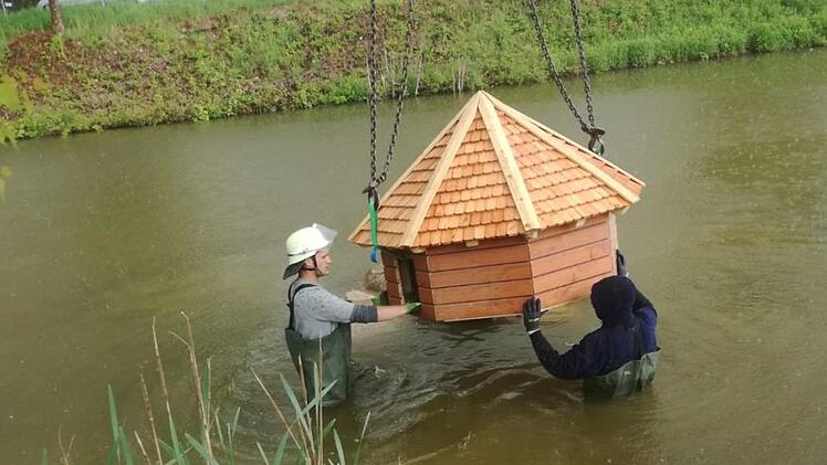 Die Enten haben ein neues Zuhause auf dem Dorfteich in Wittershausen. Udo Sell