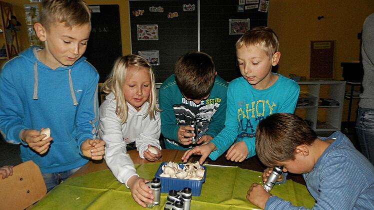 Im Kinderlabor konnte der Herbst in verschiedenen Materialien genauer erforscht werden.