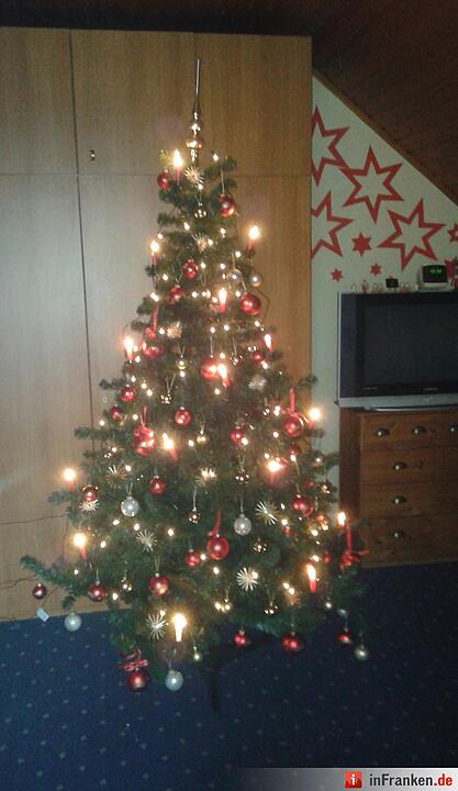 Weihnachten in Franken: Die Christbäume unserer Leser