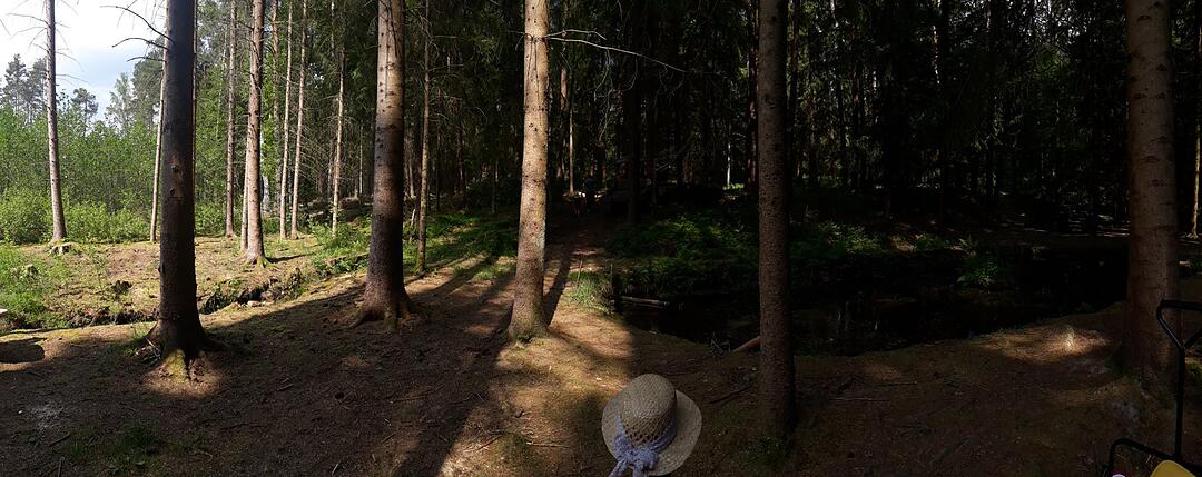 Waldspaziergang