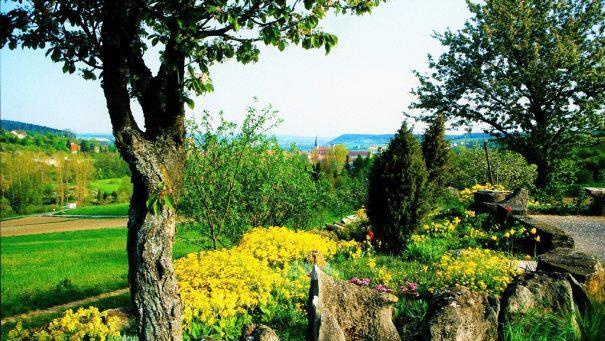 Münnerstadt begeistert nicht nur mit seiner gut erhaltenen mittelalterlichen Altstadt, sondern auch mit seiner Natur. Auf den Wiesen im Lautertal vor den Toren der Stadt finden Naturfreunde viele botanische Raritäten wie die "Feuerpflanze" Diptam.  Dr. Johannes Becker