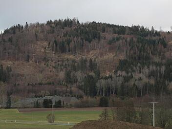 Vor allem die Fränkische Linie von Himmelkron bis Rugendorf ist von Trockenheit und Käferbefall betroffen. Foto: Christine Fischer