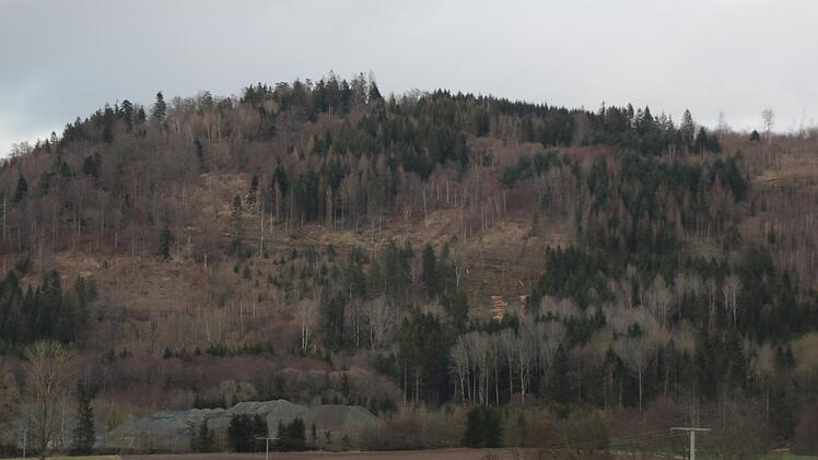 Vor allem die Fränkische Linie von Himmelkron bis Rugendorf ist von Trockenheit und Käferbefall betroffen. Foto: Christine Fischer