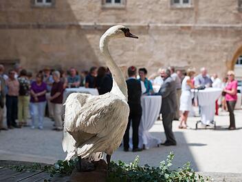 Der Schwan ist das Wappentier Thurnaus und Namensgeber für "Schwantastisch". Foto: Martin Koslowsky