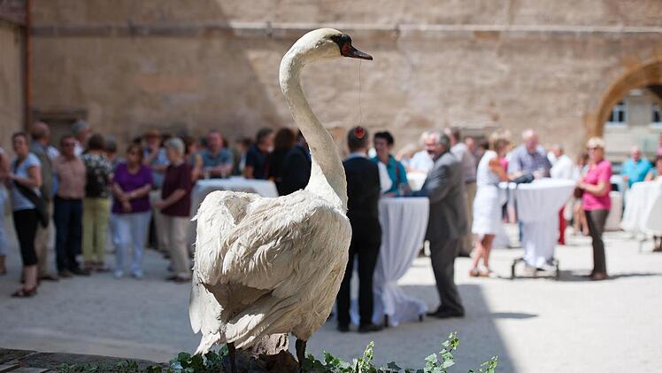 Der Schwan ist das Wappentier Thurnaus und Namensgeber für "Schwantastisch". Foto: Martin Koslowsky