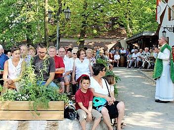 Dekan Kilian Kemmer bei seiner Predigt. Foto: Johanna Blum