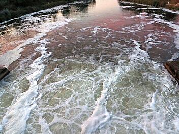 Am Wehr in Hausen ist die Regnitz auf einer Länge von gut 100 Metern mit Schaumkronen übersät. Das Wasserwirtschaftsamt geht von einer natürlichen Ursache aus.  Fotos; J. Hofbauer