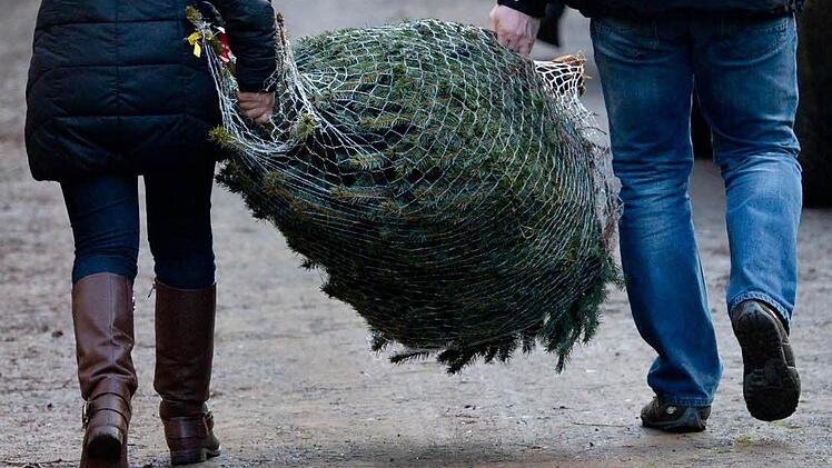 Foto: Peter Steffen/dpa