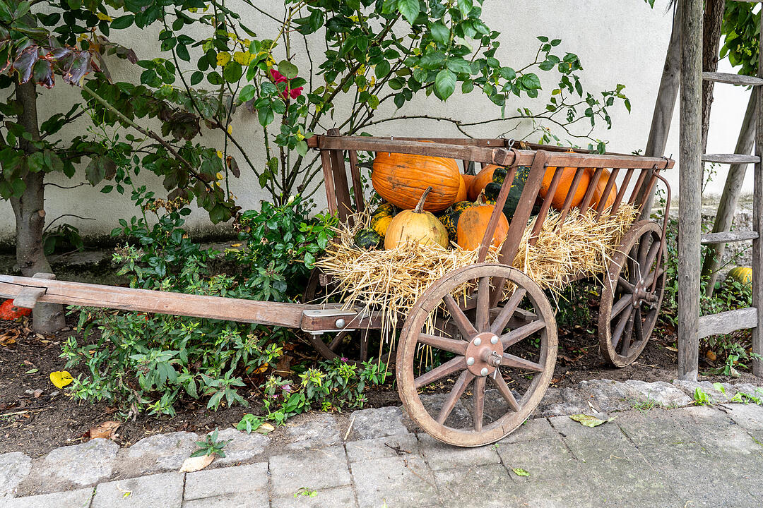 Die K&uuml;rbissaison hat ihren H&ouml;hepunkt mit dem K&uuml;rbismarkt in Altendorf.