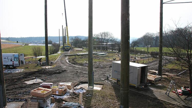 Anfang März wurde der neue Hochseilgarten auf dem Volkersberg errichtet. Foto: Ralf Ruppert