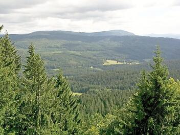 Blick in den Böhmerwald in seiner überwältigenden Größe und dunklen Schönheit, packend zu jeder Jahreszeit.  Fotos: Carolin Herrmann