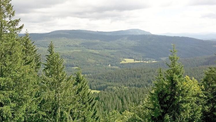 Blick in den Böhmerwald in seiner überwältigenden Größe und dunklen Schönheit, packend zu jeder Jahreszeit.  Fotos: Carolin Herrmann