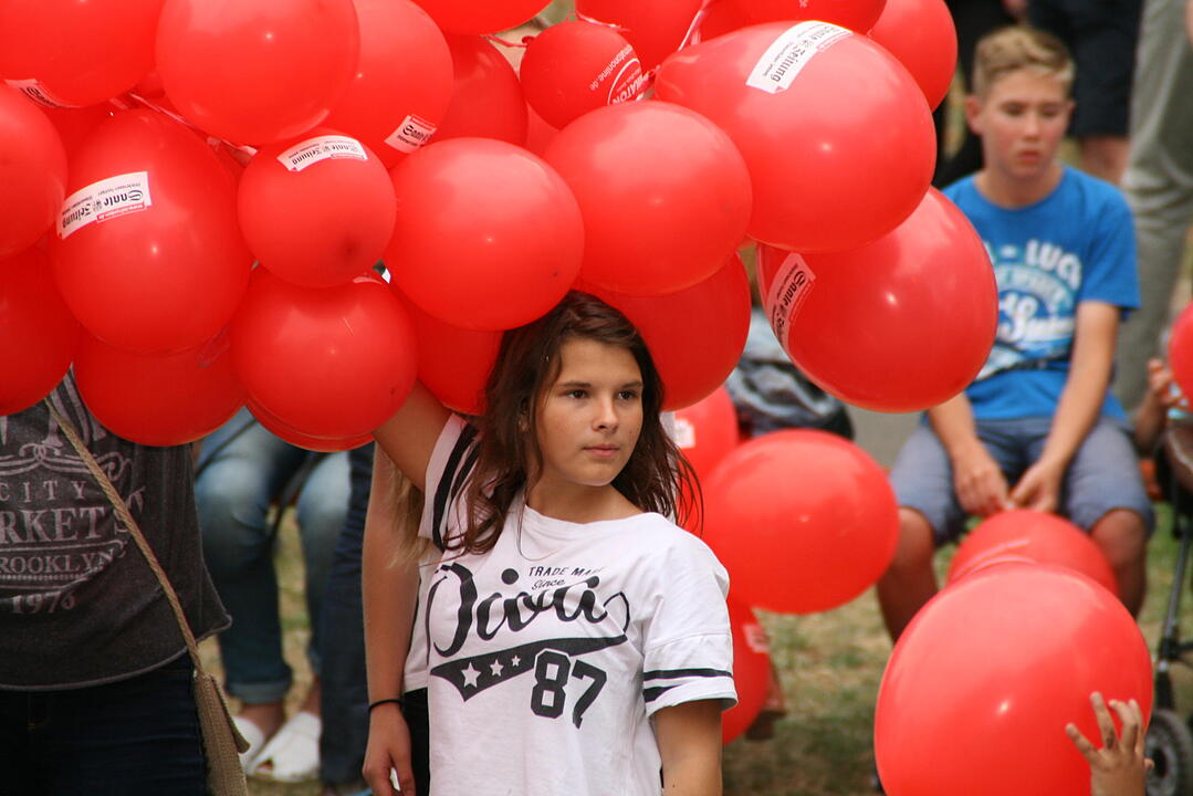 Rakoczy-Fest 2015 Bad Kissingen