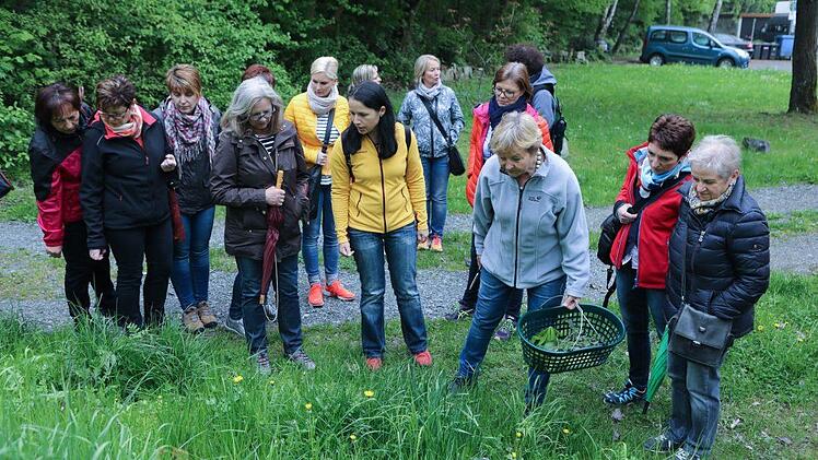 Kräuterseminar: Impressionen einer Entdeckungsreise Foto: Barbara Herbst