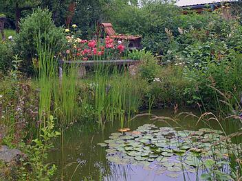 Die Ruhebank am Gartenteich lädt ein. Damit eine Seerose sich wohlfühlt, muss ein Teich mindestens 80 bis 150 Zentimeter Tiefe haben. Der Mensch sorgt ansonsten für das Gleichgewicht in der Pflanzengemeinschaft.  Foto: Günther Geiling / Archiv