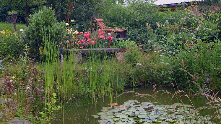 Die Ruhebank am Gartenteich lädt ein. Damit eine Seerose sich wohlfühlt, muss ein Teich mindestens 80 bis 150 Zentimeter Tiefe haben. Der Mensch sorgt ansonsten für das Gleichgewicht in der Pflanzengemeinschaft.  Foto: Günther Geiling / Archiv
