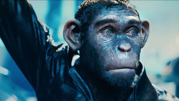 Robbie Williams f&uuml;hlte sich fr&uuml;her nach eigener Aussage oft wie ein Affe, der f&uuml;r die Massen tanzt. So entstand auch das Konzept f&uuml;r das Biopic "Better Man".