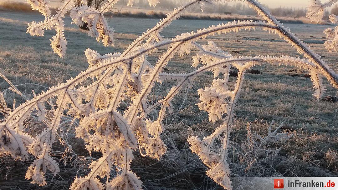 Schnee in Franken Januar 2017 - Leserfotos