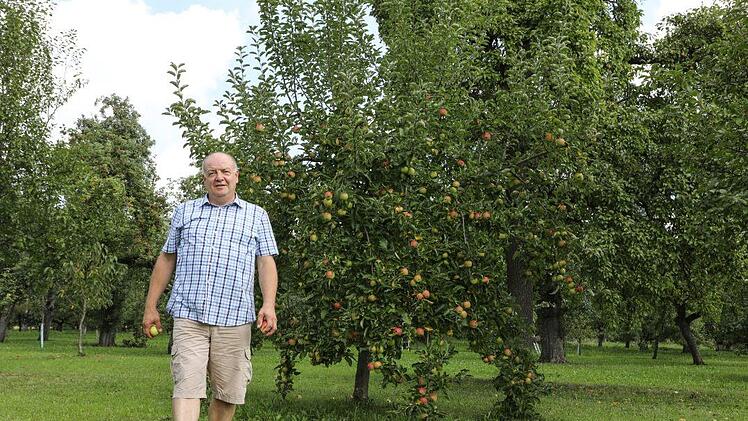 Die Streuobstwiese ... Foto: Barbara Herbst