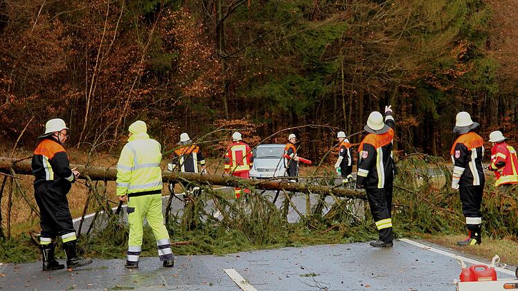 Sturmtief "Burglind" wütete am Mittwochmorgen in Franken. Symbolbild: Günther Geiling