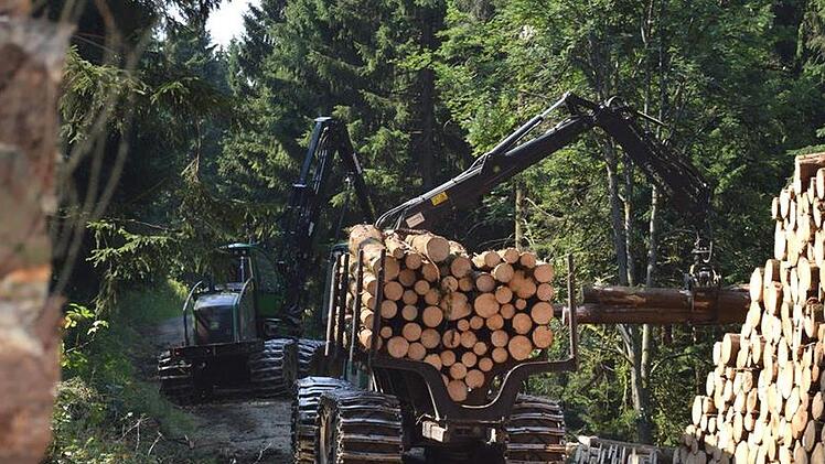 Im August stehen Waldarbeiten am Heidelstein und Schornhecke an.