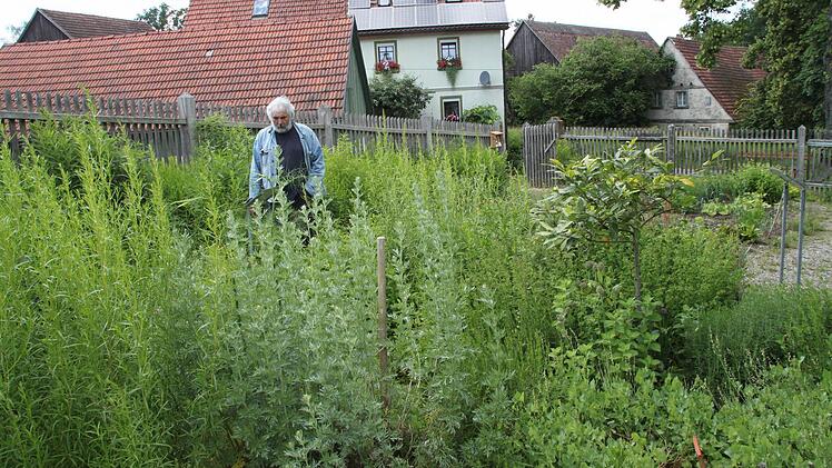 Bilder aus teilnehmenden Gärten Foto: Jürgen Gärtner