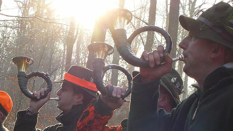 Das Gemeinschaftsjagdrevier Oberthulba Nord wird ab 1. April für einen neuen Pächter frei. Wer Interesse hat, kann sich beim Markt Oberthulba melden.Foto: Archiv/Arkadius Guzy