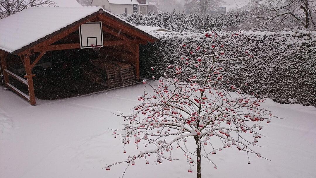 Schnee und Eis - Die schönsten Aufnahmen aus Franken