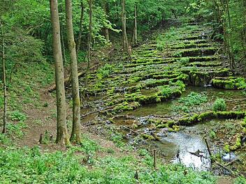So sollten die Sinterstufen eigentlich aussehen. Das Wasser plätschert malerisch herab. Der Anblick ist bei Einheimischen und Touristen beliebt. Foto: Petra Malbrich