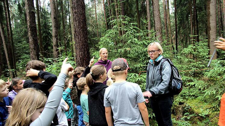 Schüler und Lehrer verbrachten einen Schultag im Wald.   Foto: Richard Sänger