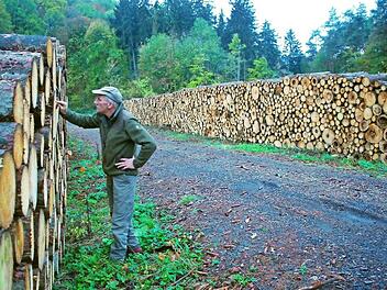 Der Herr der Jahresringe: Hans Stark zählt bis 80. So alt durften die Fichten werden, bis der Käfer in diesem Waldschlag zuschlug. Foto: G. Flegel